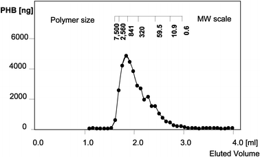 phb-plastid-06.gif